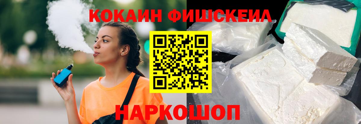 Cocaine Fish Scale  где купить наркоту  Каменка  Вход с VPN  COCAIN 