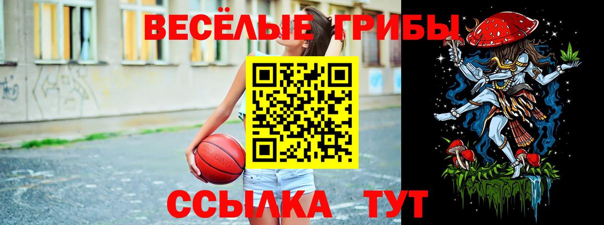 Галлюциногенные грибы мухоморы Каменка