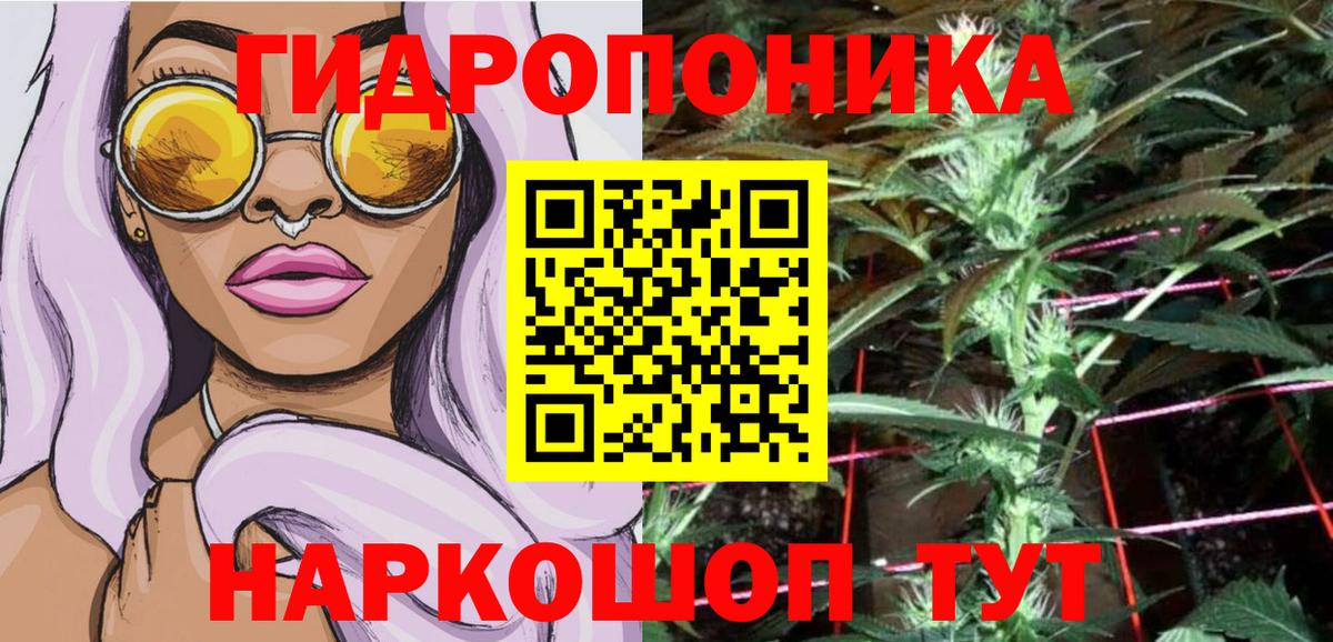 Каменка  МАРИХУАНА ГИДРОПОН  Конопля семена  Канабис Amnesia  Каннабис индика  Вход с VPN 